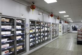 Large range of boxed wholesale frozen oriental food