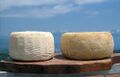 Cacioricotta caprina del Cilento cheese