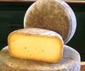 Stoney Cross cheese