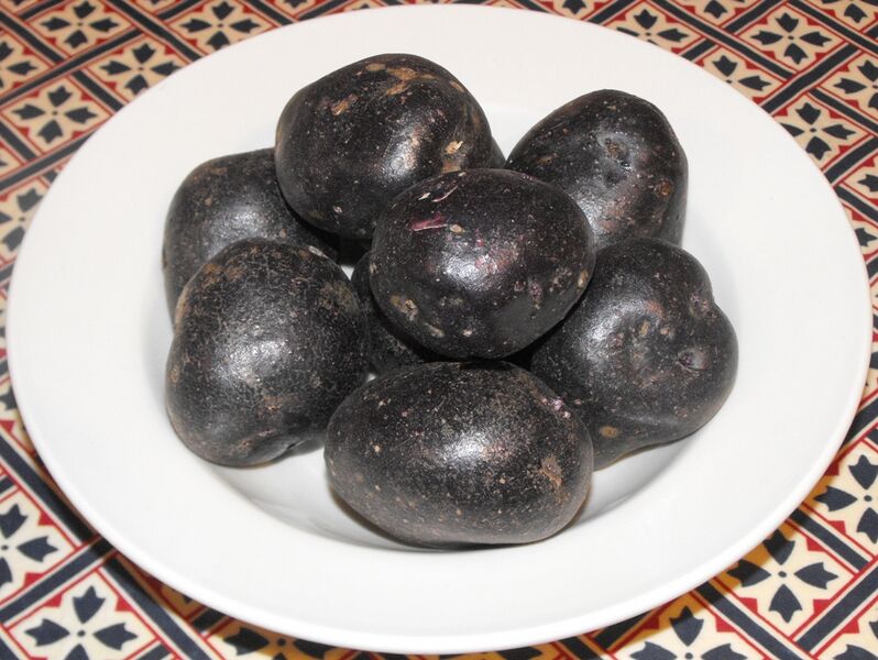 File:Purple Majesty potatoes.jpg