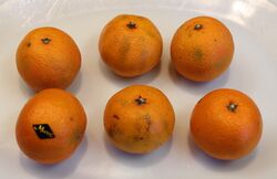 6 small tangerines
