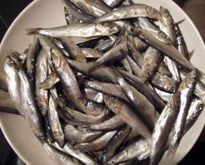 Whitebait