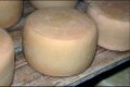 Pecorino del Monte Marzano cheese