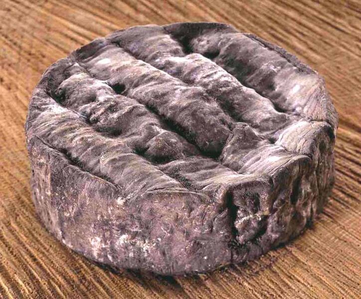 File:Olivet cendré cheese.jpg