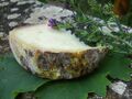 Brebis du Larzac cheese