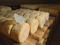 Jihočeská niva cheese