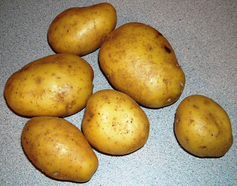 File:Melody potatoes.jpg