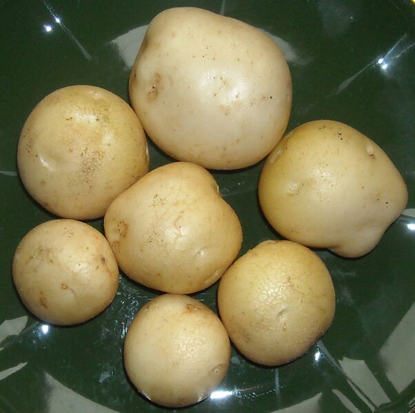 File:Rocket potatoes.jpg
