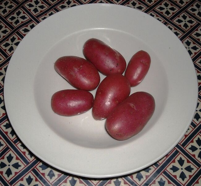 File:Roseval potatoes.jpg