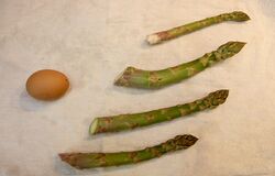 Size comparison against a large egg