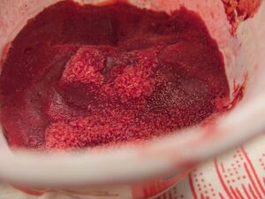 Apple and blackcurrant sorbet