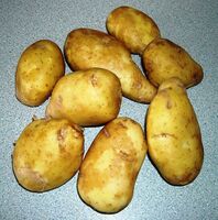 Jersey Royal potatoes