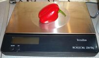 Terraillon scales