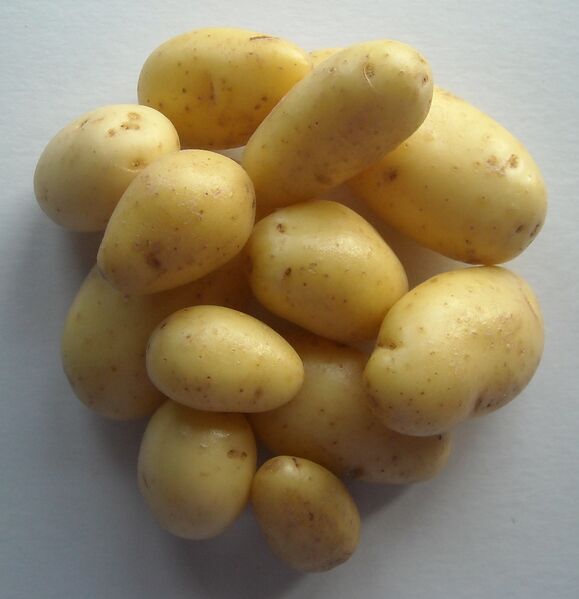 File:Pioneer potatoes.jpg