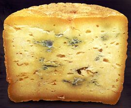 Bleu de Costaros cheese