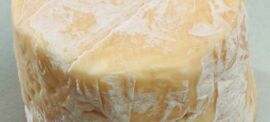 Rigotte Bourbonnaise cheese