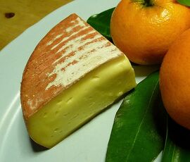 Pavin d'Auvergne cheese