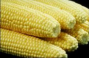 Sweetcorn