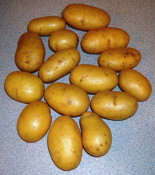 File:Corolle potatoes.jpg
