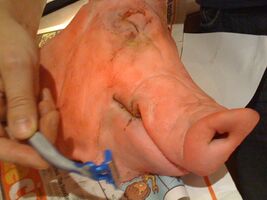 How to cook a pig's head