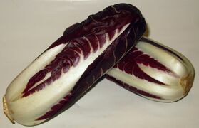 Curly endive and mooli salad