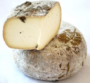 Pecorino stagionato in foglie di noce cheese suppliers, pictures ...