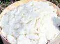 Bryndza cheese