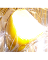Cote Hill Yellow cheese