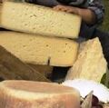 Dolomiti cheese