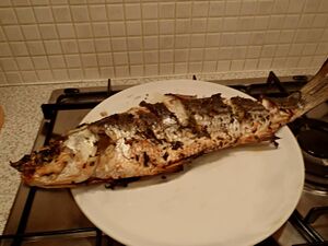 Grilled grey mullet