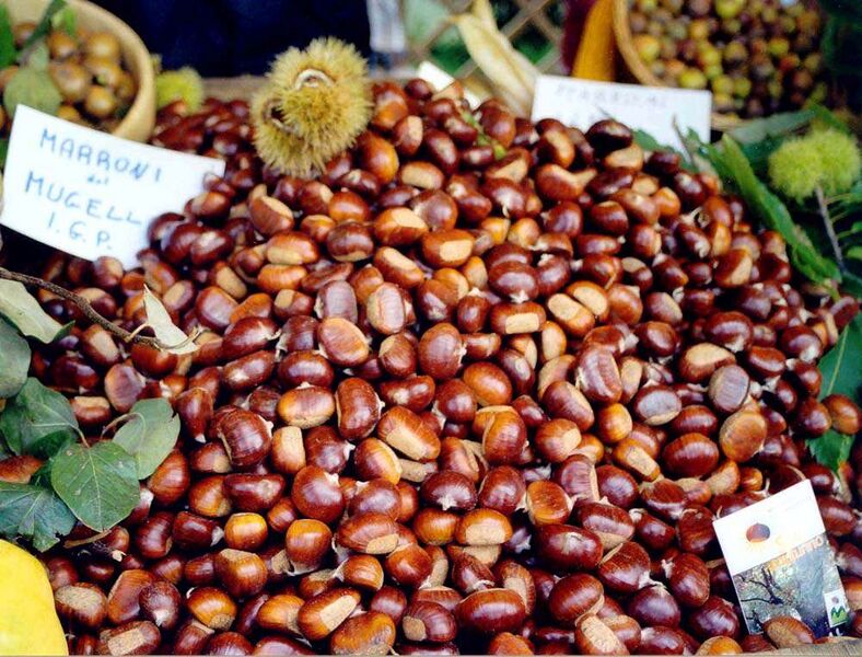 File:Marrone del Mugello (Mugello chestnut).jpg