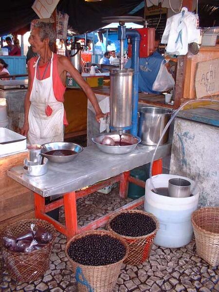 File:Açaí.jpg