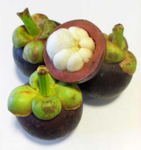 Mangosteen Wiki facts for this cookery item
