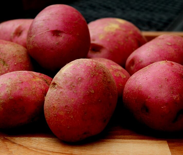 File:Rudolph potatoes.jpg