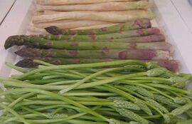 Asparagus varieties]]