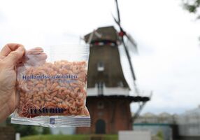 Brown shrimp, peas and pasta