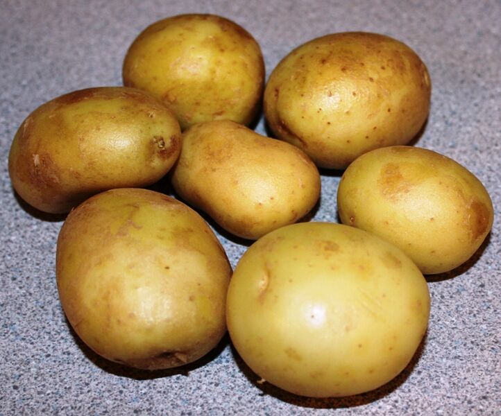 File:Gemson potatoes.jpg