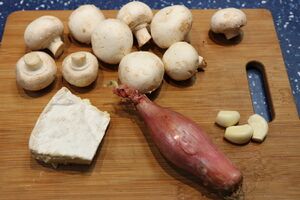The basic ingredients