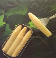 Espárrago de Navarra (Navarre asparagus)