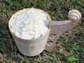 Bryndza Podhalańska cheese