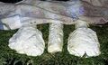 Ricotta salata di Mammola cheese