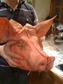 Roast pig's head