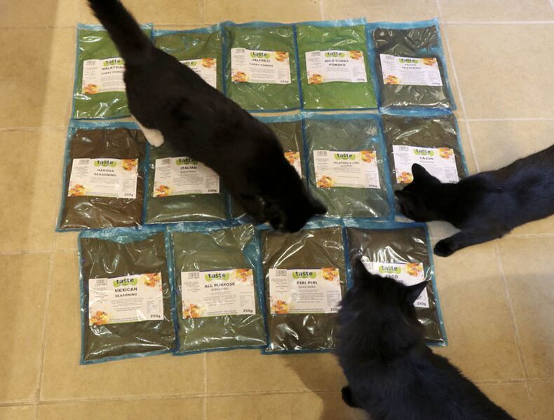 File:Taste Sensation recipes.jpg