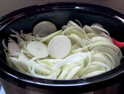 The raw, sliced onions