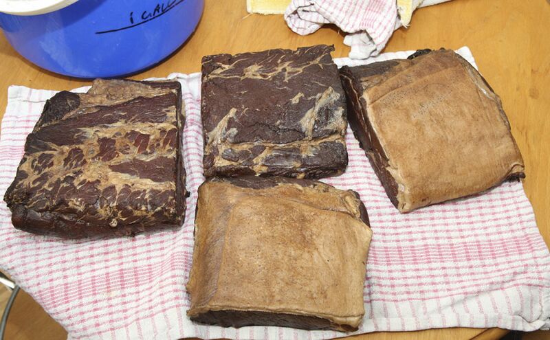 File:After 1 week soaking.jpg