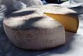 Saint-Nectaire cheese
