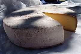 Saint-Nectaire cheese