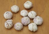 10 bulbs of garlic
