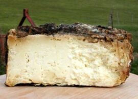 Pecorino stagionato in botte cheese
