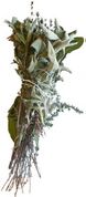 Bouquet garni for game